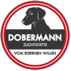 Dobermannzucht